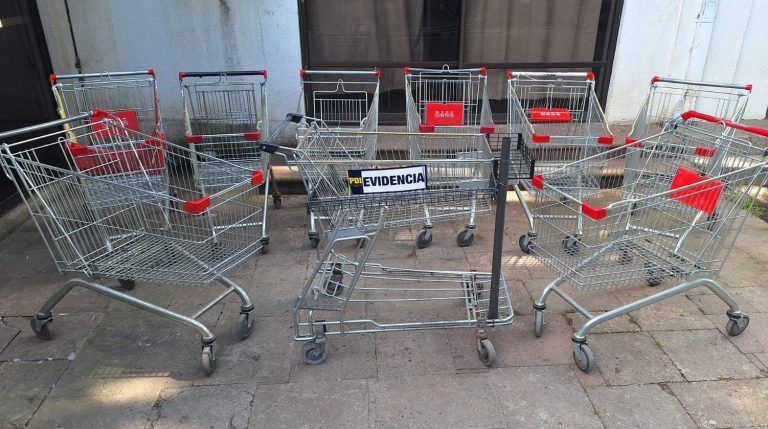 PDI recupera nueve carros de supermercado en Traiguén: el decomiso se avalúa en más de un millón de pesos