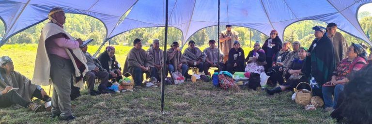 “El modelo actual asfixia a los pequeños productores y consolida un sistema que favorece a las élites…”