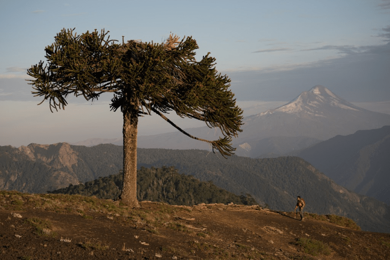 Araucanía Travel Fest: Primera Cumbre Internacional de Turismo Aventura y Naturaleza que reunirá a Chile y el mundo