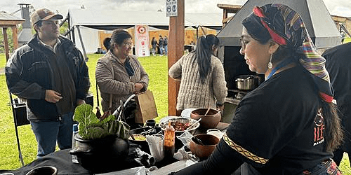 Celebran día de la gastronomía mapuche con muestra culinaria y clases de cocina gourmet en vivo