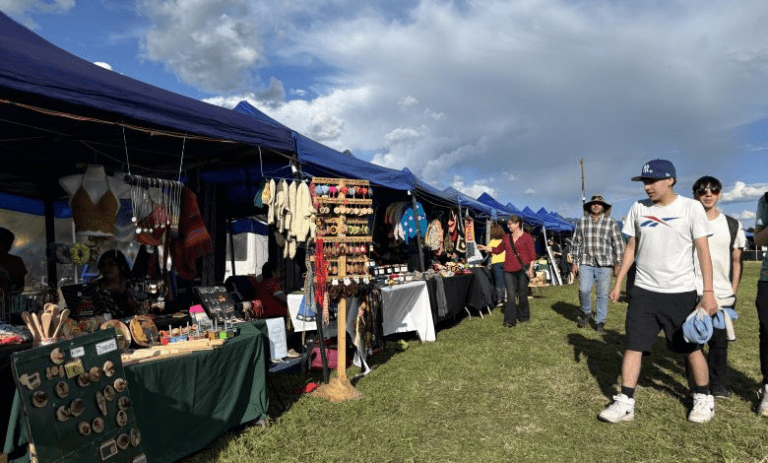 100 expositores dieron vida a la expo del día del artesano 2024 en la comuna de Curacautín