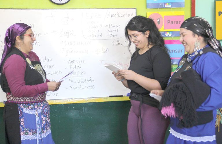 Jóvenes de las regiones de Valparaíso, O’Higgins y Metropolitana participaron de inmersión lingüística en mapuzugun en La Araucanía