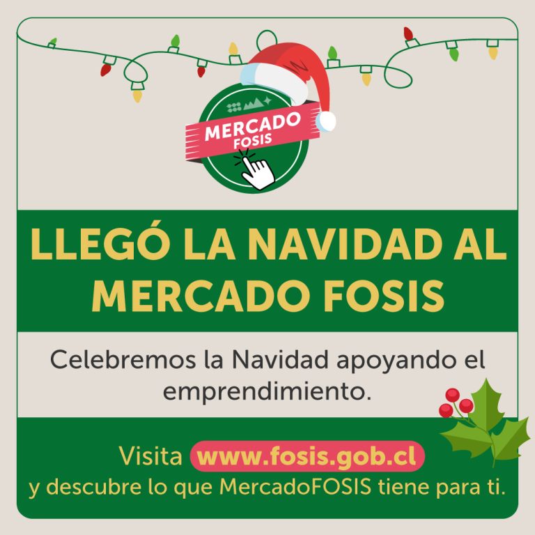Apoya el emprendimiento local y regala con sentido: “FOSIS abre plataforma digital con emprendimientos para compras de navidad”