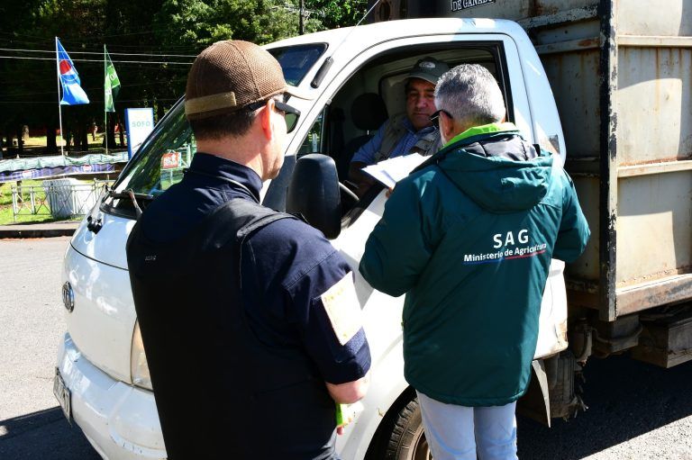 Seguridad Pública apoyó a SAG en fiscalización de camiones ganaderos en Temuco