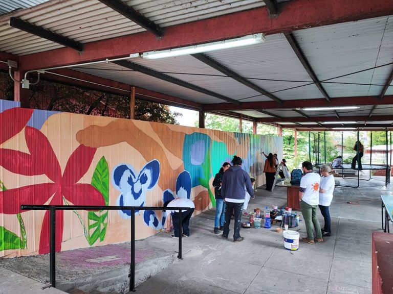 Niño y Patria y DUOC UC Campus Villarrica transforman residencia Petronila Pincheira con inspirador mural
