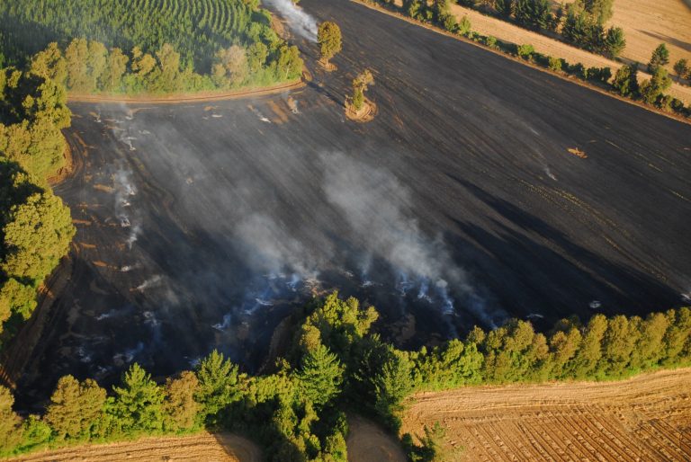 CONAF decreta restricción para el uso del fuego en doce regiones del país