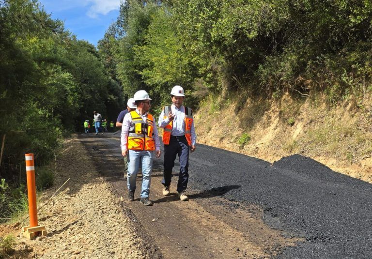 Seremi de Obras Públicas inspecciona importantes obras viales para vecinos que habitan en la cordillera de Nahuelbuta