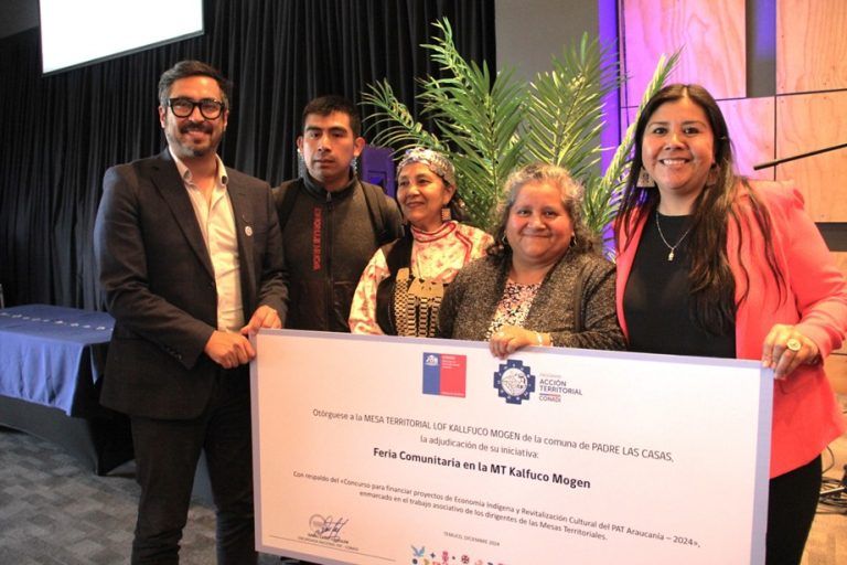 Programa Acción Territorial de CONADI entregó $345 millones para iniciativas de economía mapuche y revitalización cultural en La Araucanía