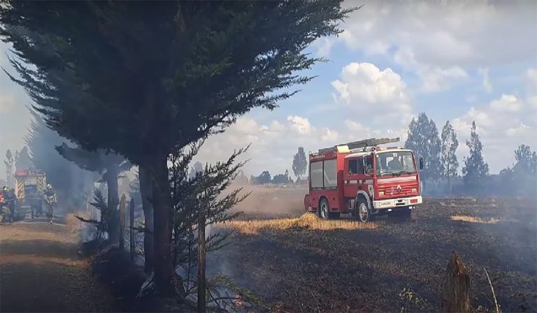 Incendios forestales: La amenaza que estimula esfuerzos en toda la comunidad