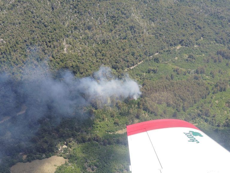 Se Levanta Alerta Roja en Curacautín por Incendio Forestal en el Parque Nacional Tolhuaca
