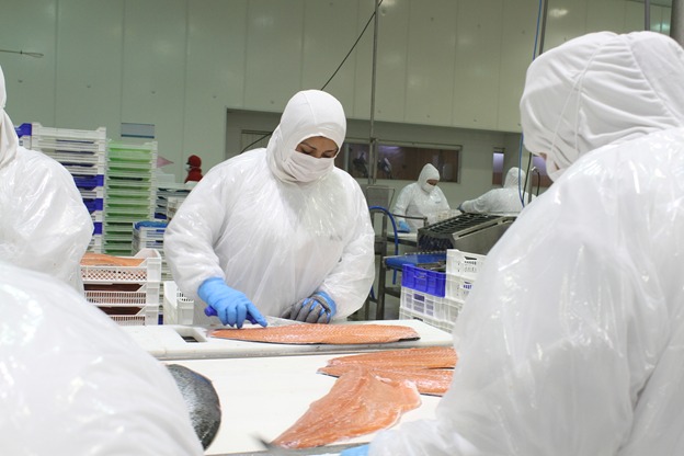 Consejo del Salmón precisa información sobre exportaciones chilenas en 2024 y entrega ranking de los 5 principales productos 