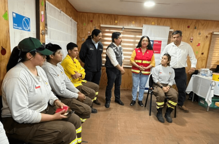 380 brigadistas serán vacunados para combatir los Incendios Forestales en La Araucanía