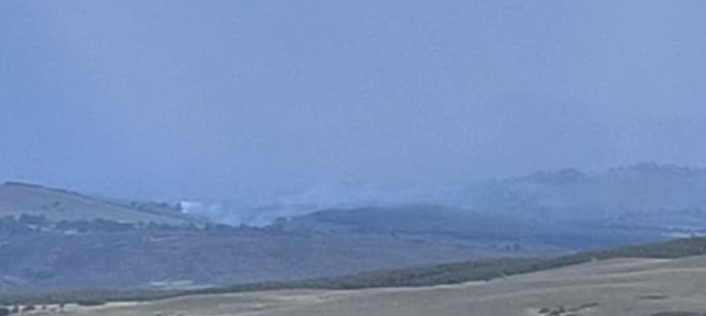 Declaran Alerta Roja en Lonquimay por incendio forestal: se habría generado por caída de rayos