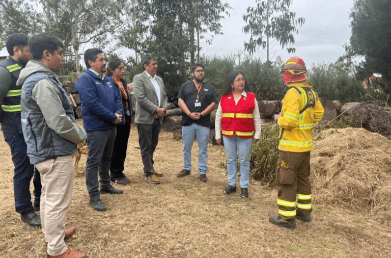 Municipio de Temuco y Seremi de Salud inician plan “Postas Preparadas”