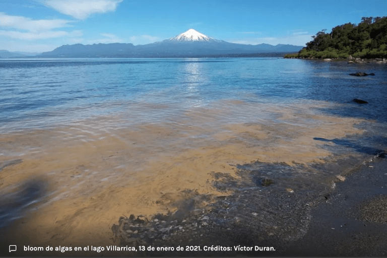 Diputado Jorge Rathgeb solicita implementar mayores medidas en lago Villarrica para evitar casos como el de jóvenes intoxicados al beber agua