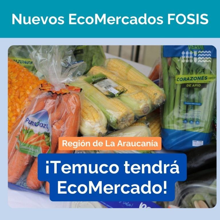 Temuco tendrá el primer EcoMercado Solidario de la región de La Araucanía