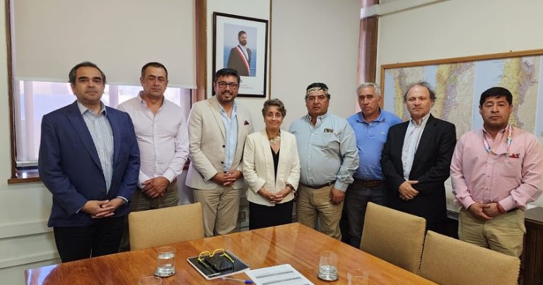 Ministra de Obras Públicas confirmó asfalto de ruta Loncoche – Calafquén que une a la Araucanía lacustre con los Ríos.