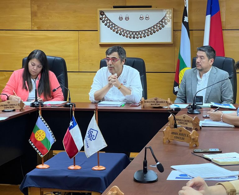 Municipalidad de Pucón detectó irregularidades en la oferta de compra de terreno para viviendas sociales