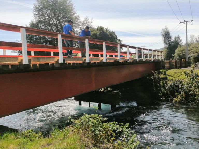 Senadora Aravena destacó compromiso de Vialidad con reparaciones del Puente Los Mellizos