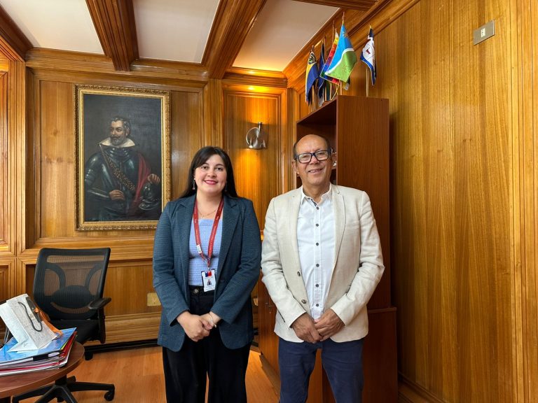 Seremi Sol Kaechele Mellado visita Villarrica para promover avances en género y promover vidas libres de violencia