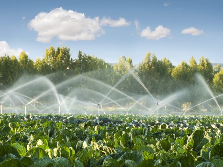 CONADI y la Seremi de Agricultura regularizarán derechos de agua de familias mapuche con una inversión de $180 millones
