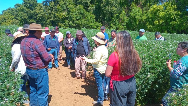 INIA Desarrolla Día de Campo Anual en Centro Regional Tranapuente