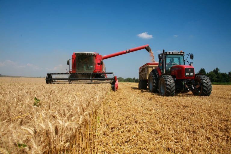 Seremi de Agricultura apuesta por la transparencia para avanzar en la comercialización agrícola en La Araucanía