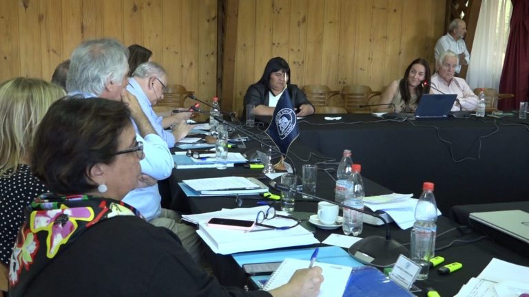 Multigremial de La Araucanía: “Con CONADI estamos de acuerdo en que la Ley Indígena requiere ser actualizada”