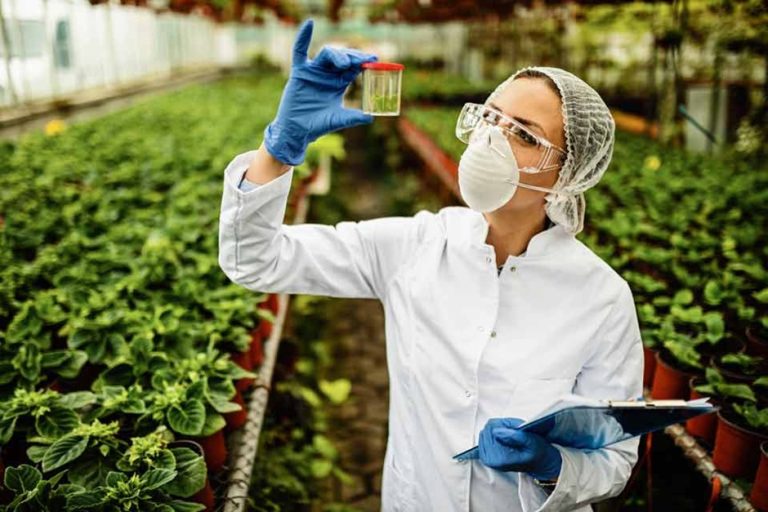 Comisión de agricultura del senado debate modernización de normativa en biotecnología en la Araucanía