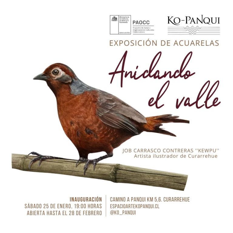ANIDANDO EL VALLE