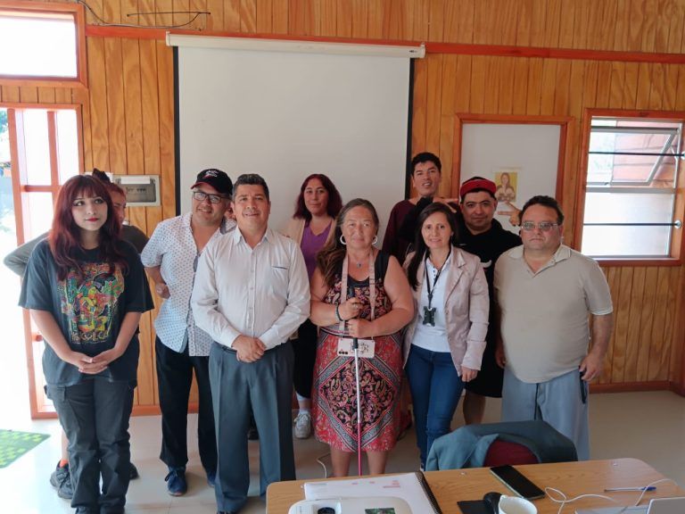 Realizan importante taller laboral para personas en situación de discapacidad en Pucón