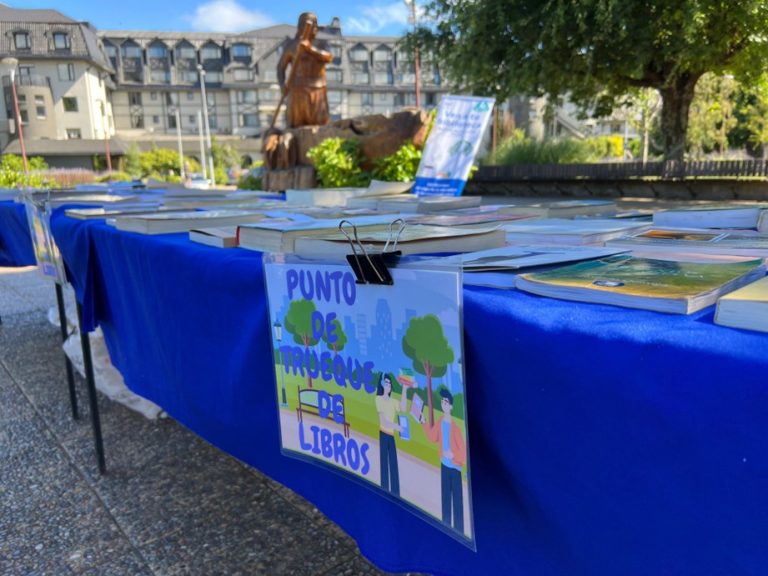 Lanzamiento programa “verano, libros y entretención” promueve educación y lectura en Pucón