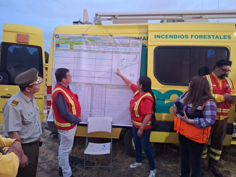 Incendio forestal motiva declaración de alerta roja en Los Sauces: ordenan evacuar sector de Nahuelbe