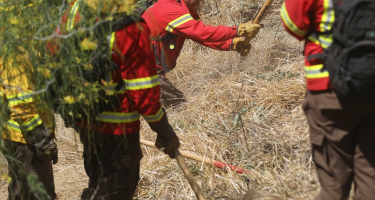 Mueren tres brigadistas en combate de incendio forestal en Los Sauces: fuego ya arrasó 400 hectáreas