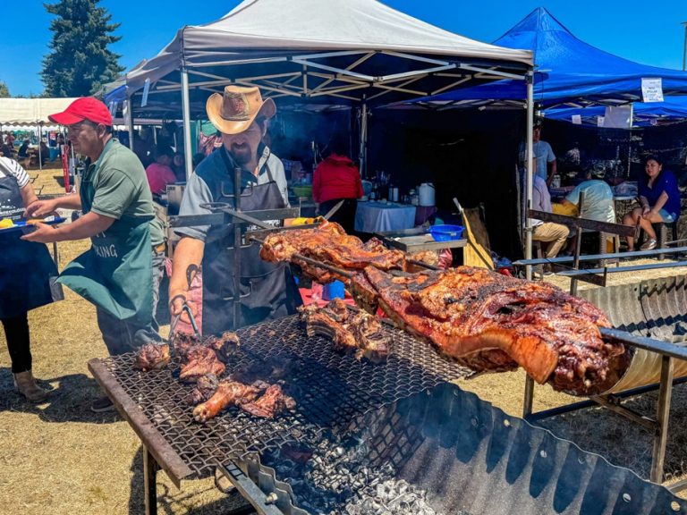 La Expo Barros Arana Deslumbró Con Cultura, Música Y Sabor