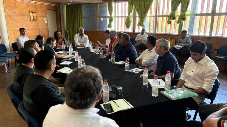 Municipio de Cholchol intesifica estrategia para prevenir incendios forestales en la comuna