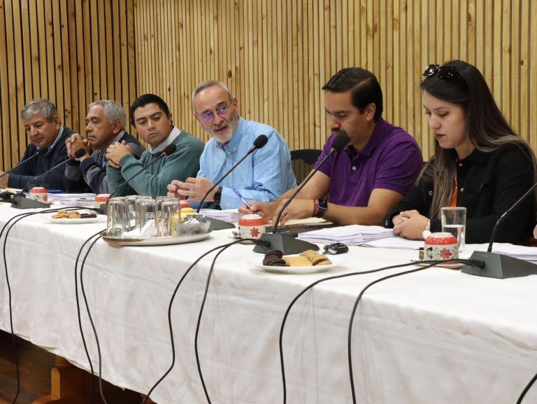 Concejo municipal de Lonquimay expone las principales prioridades de la comuna al Gobernador Saffirio