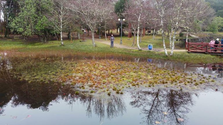 Valdivia fue declarada como Ciudad Humedal