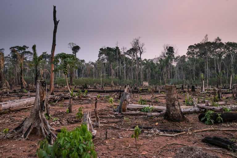 Informe Global de Riesgos 2025: Cambio climático y pérdida de naturaleza entre principales amenazas para el mundo