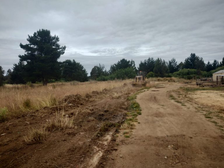 30 mil metros de cortafuegos: la estrategia del municipio de Cholchol para prevenir incendios forestales