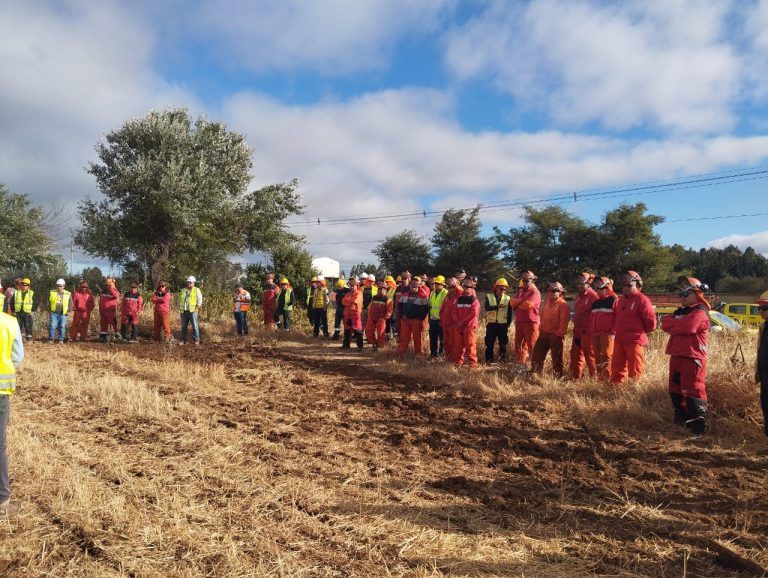 Frontel realizó mantenimiento de sus redes eléctricas en sectores rurales de Collipulli