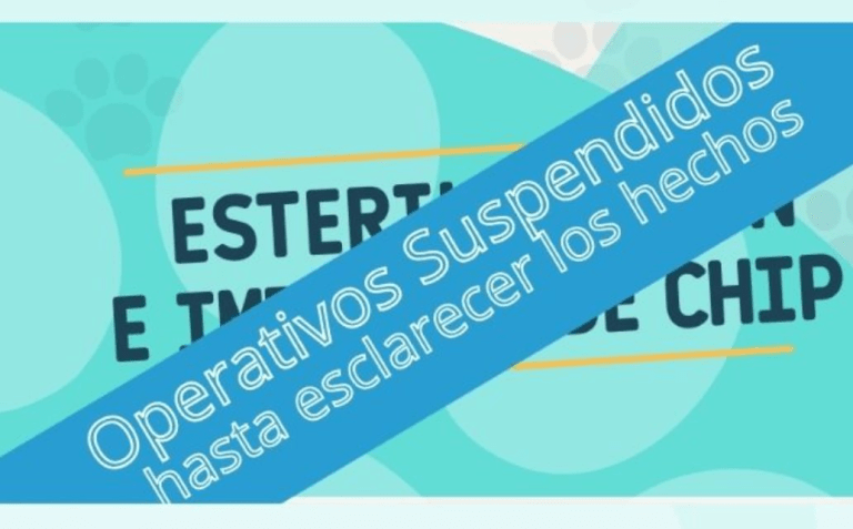 Preocupante: aparecen antecedentes negativos de veterinaria que se adjudicó esterilizaciones masivas en Padre Las Casas