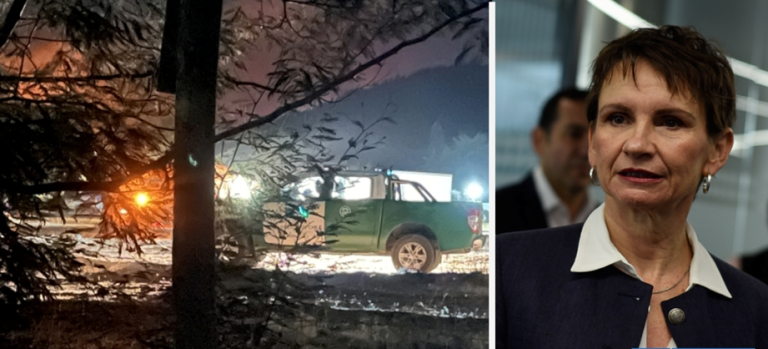 Tohá por brigadistas muertos en incendio de Los Sauces: «Merecen nuestra admiración y gratitud»