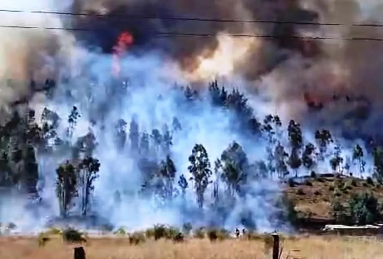 Causante del incendio de Los Sauces estaría identificado