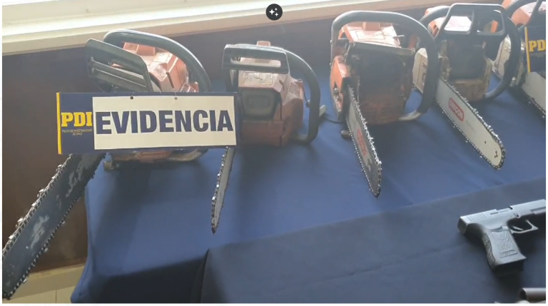 Operación radiata Toltén de la PDI detuvo a ocho personas por sustracción de madera a empresas forestales