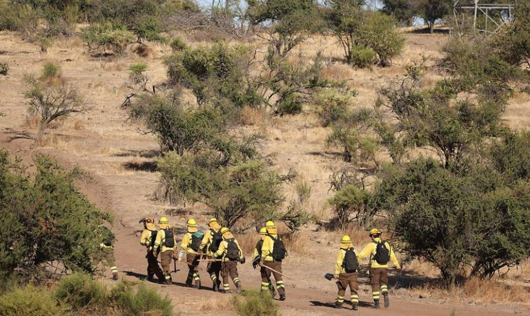 Chile se Prepara: Cortafuegos superan los 10.825 kilómetros