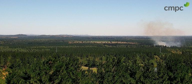 12 incendios han combatido durante este fin de semana los brigadistas de CMPC