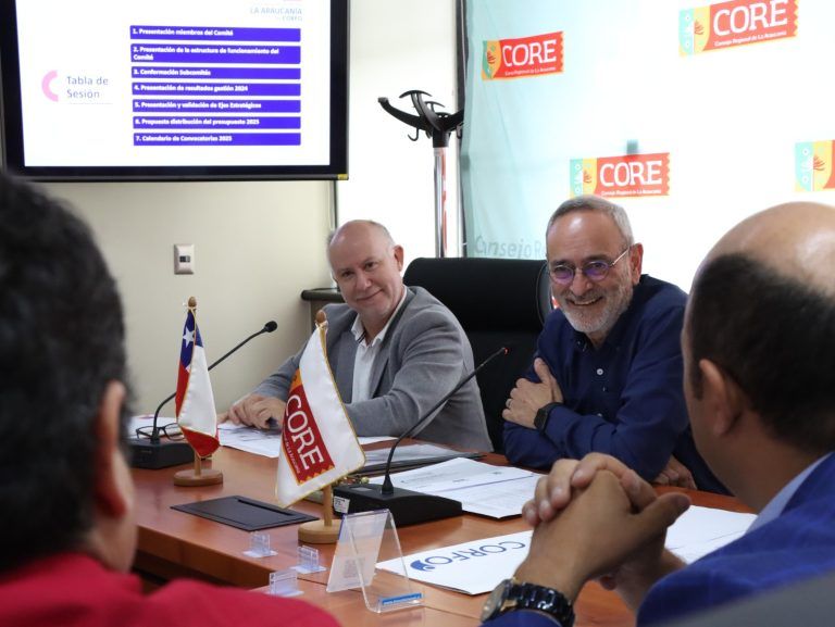 Gobernador René Saffirio propuso priorizar más inversión para el desarrollo económico de Malleco en primera sesión del año del Comité de Desarrollo Productivo de La Araucanía