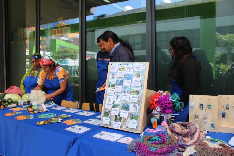 Durante tres días Curarrehue tendrá su Feria Cultural con comida y tradiciones ancestrales cordilleranas