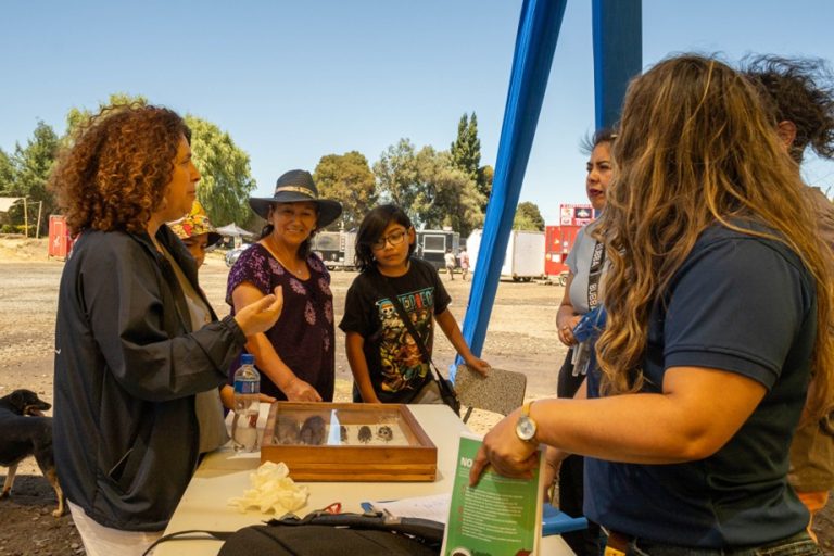 Campaña de Verano 2025: La Seremi de Salud refuerza la prevención en eventos masivos en el Aniversario de Renaico